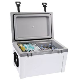 Insulated Portable Cooler, 52 qt, Holds 50 Cans, Ice Retention Hard Cooler with Heavy Duty Handle, Ice Chest Lunch Box for Camping, Beach, Picnic