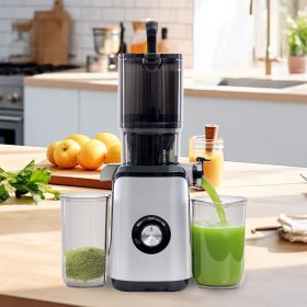Cold juicer, chewable juicer, wide feeding trough for easy cleaning, suitable for whole vegetables and fruits (Color: Silver)