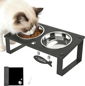 Elevated Cat Bowls with Splash Proof Mat for Kitten Puppy, 10° Tilted Raised Cat Bowl Stand Anti-Vomiting, 2 Wide Shallow Stainless Steel Bowls (Color: Black-2bowls)