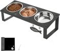 Elevated Cat Bowls with Splash Proof Mat for Kitten Puppy, 10° Tilted Raised Cat Bowl Stand Anti-Vomiting, 2 Wide Shallow Stainless Steel Bowls