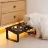 Elevated Cat Bowls with Splash Proof Mat for Kitten Puppy, 10° Tilted Raised Cat Bowl Stand Anti-Vomiting, 2 Wide Shallow Stainless Steel Bowls